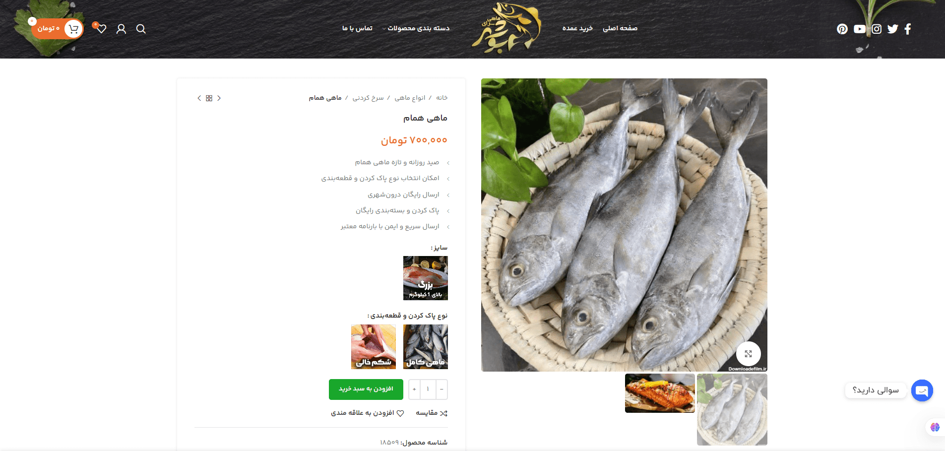 فرم انتخاب سایز ماهی و دستهبندی دقیق